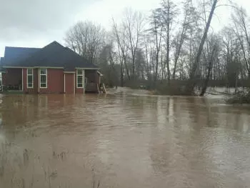 Forest House Flooded